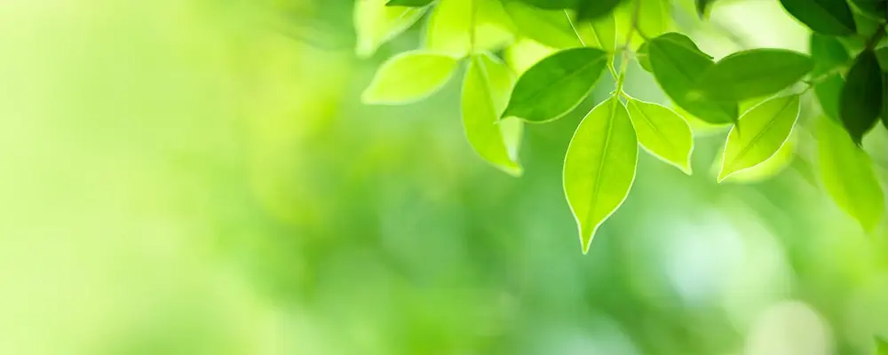 お知らせ一覧イメージ