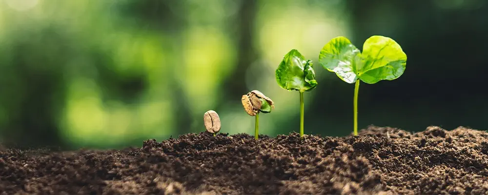 機構についてイメージ